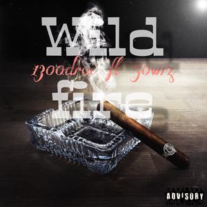 Wild fire (feat. 50 wiz) (Explicit)