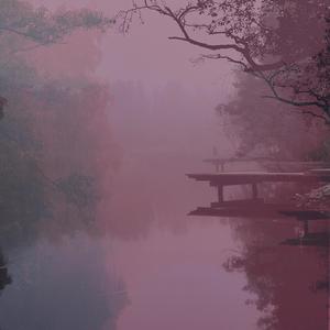 Bureaucracy Anxiety (Amanita Version)