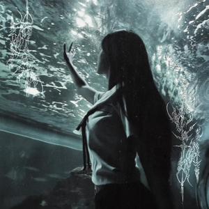 Nightfall - sped up (feat. Nakedleisure)