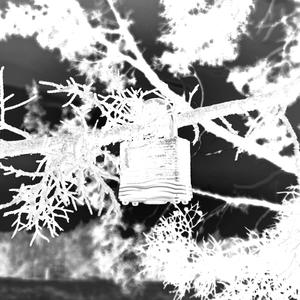 Die For Us // Revenge