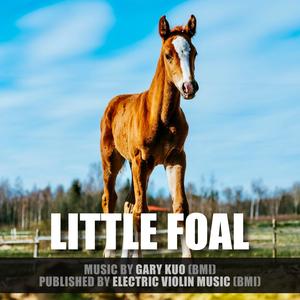Little Foal