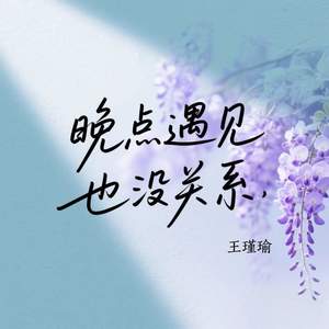 晚点遇见也没关系