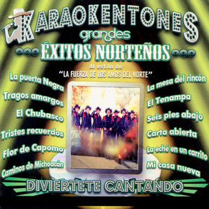 Karaokentones: Grandes Exitos Norteños, Vol 2