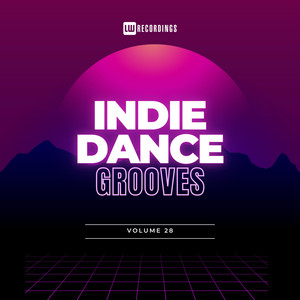 Indie Dance Grooves, Vol. 28