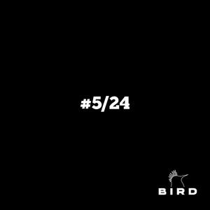 ¡HEY BIRD QUIERO ESE BEAT! #5