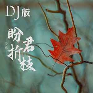 盼君折枝 (DJ版)