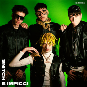 SNITCH E IMPICCI (Explicit)