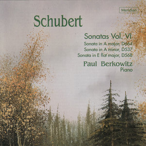 Sonata in A Major, Op. Posth. 120, D. 664 - II. Andante
