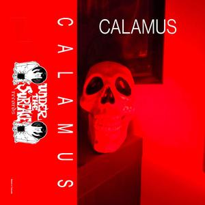 Calamus - Untitled Four