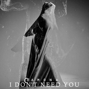 I Don't Need You