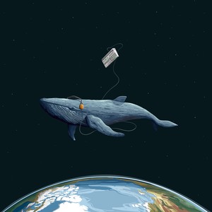 Endstation (Explicit)