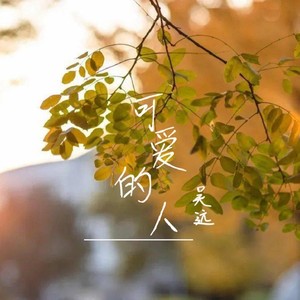 可爱的人 (伴奏)