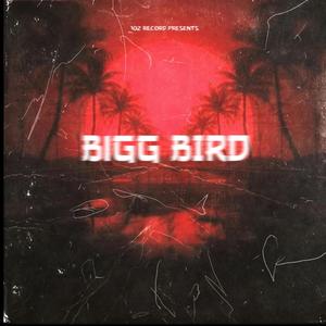 BiGG BIRD (Explicit)