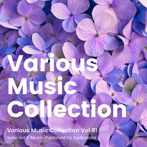Various Music Collection Vol.81 -Selected & Music-Published by Audiostock-