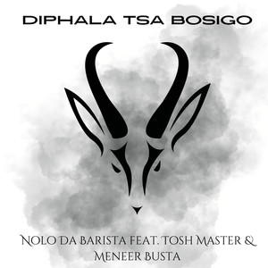 Diphala Tsa Bosigo