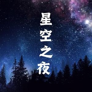 星空之夜