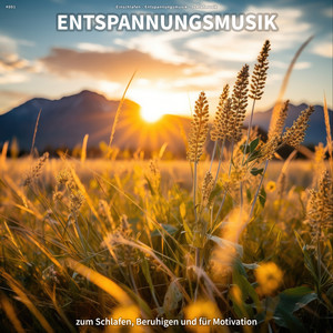 Ein Stück für Meditation