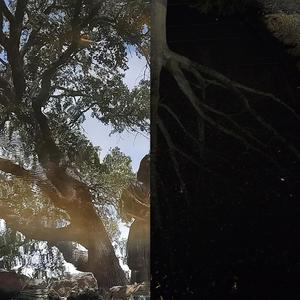 Seasons (feat. N3PTOONZ)