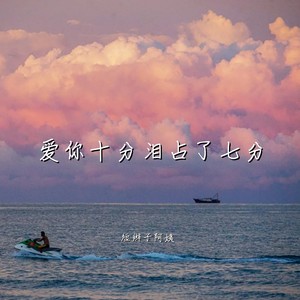 爱你十分泪占了七分 (伴奏)
