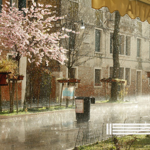 暴雨封面