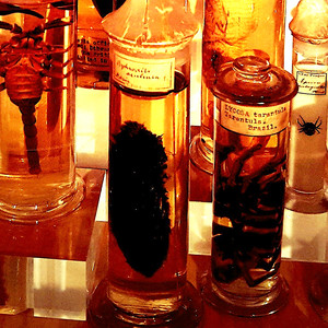 Nasty (Greg May Not Afraid Remix Edit)