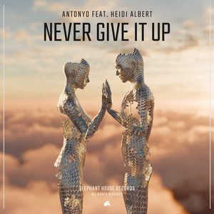 Never Give It Up (feat. Heidi Albert)