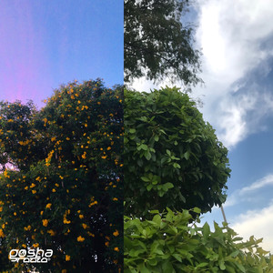 Live Love Life, God's Grace (Explicit)