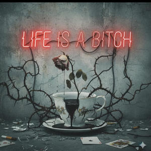 Life is a bit©h (feat. Shamann) (Explicit)