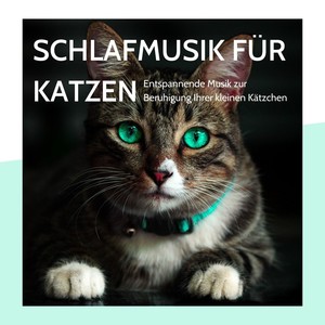 Schlafmusik für Katzen - Entspannende Musik zur Beruhigung Ihrer kleinen Kätzchen