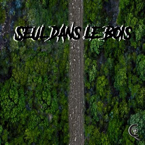 Seul dans le bois