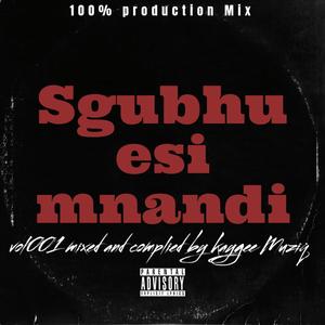 Sghubu esi mnandi vol1 (mixed and compiled by kaygee muziq production mix)