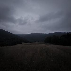 apple juice (Explicit)