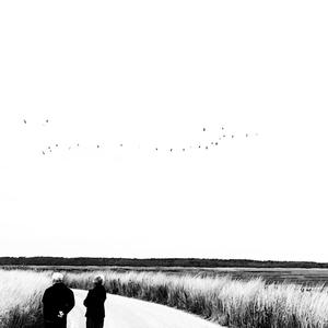 Shallow (JohnyTiger Remix)