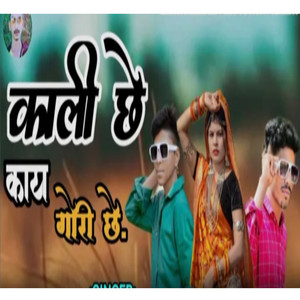 काली छे काय गोरी छे आदिवासी सोंग