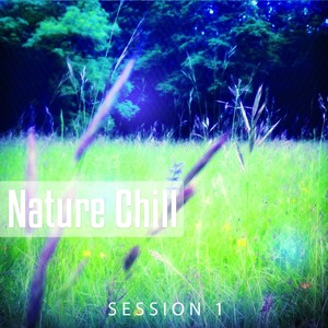 Nature Chill (Relaxing Tunes Inspired by Nature)