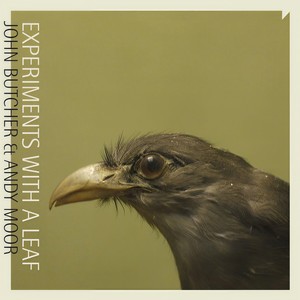 The Tongue Is a Flame