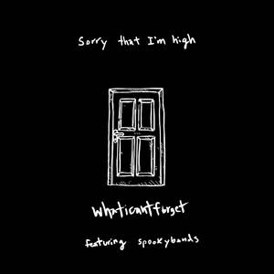sorry that i'm high (Explicit)