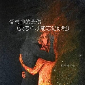 爱与恨的悲伤 (要怎样才能忘记你呢)
