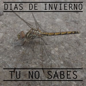 Tu No Sabes