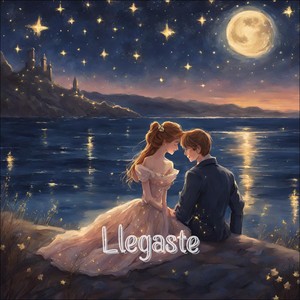 Llegaste