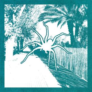 Peta Zetas (feat. KNF) (Explicit)