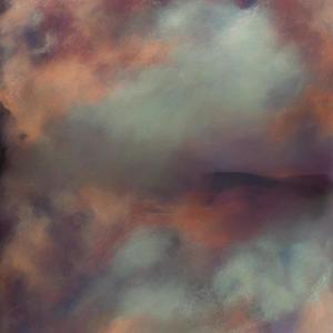 birds are government propaganda