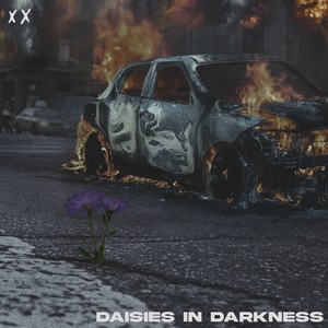 Daisies In Darkness