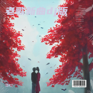 红尘恋人 dj伴奏版