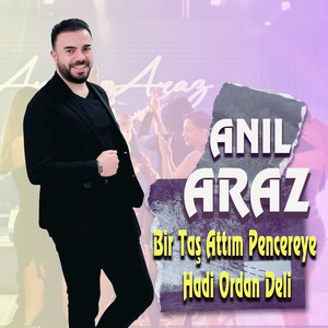 Bir Taş Attım Pencereye / Hadi Ordan Deli