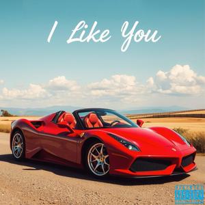 I Like You (Explicit)