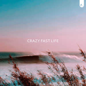 Crazy Fast Life