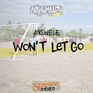 Won't Let Go (Nahwmality Riddim)