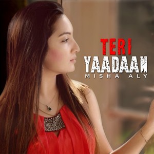 Teri Yaadaan