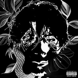 BOULEVARD OF BROKEN HEARTZ (Explicit)